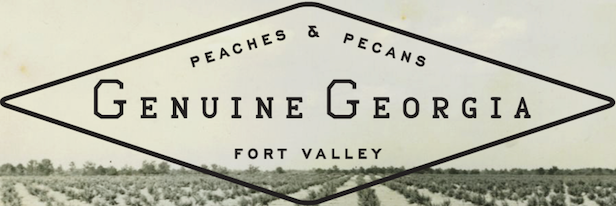 Genuine Georgia Group logo